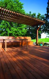 article image - 